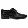 dolce & gabbana - derby in pitone nero