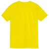 suns - paul lomellina giallo